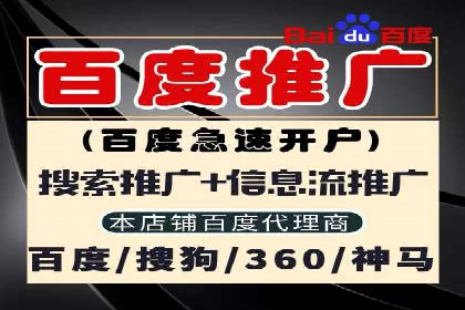 sem竞价推广托管：行业领先企业的成功策略